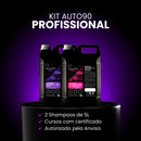 Shampoo Automotivo Kit Auto90 10L Profissional - Desincrustante, Desengraxante, Limpa, Descontamina